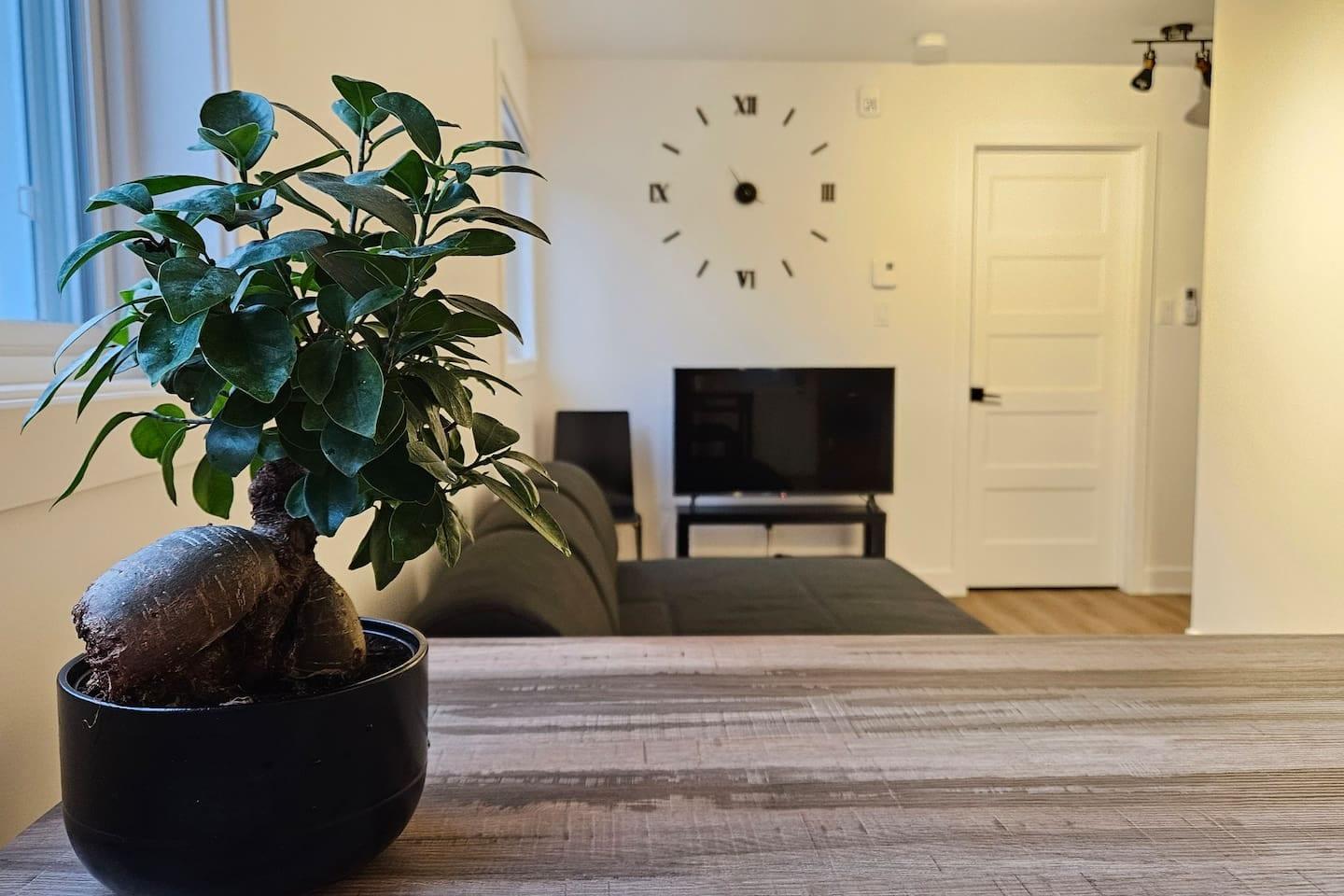 Au coeur du village - Appartement 6